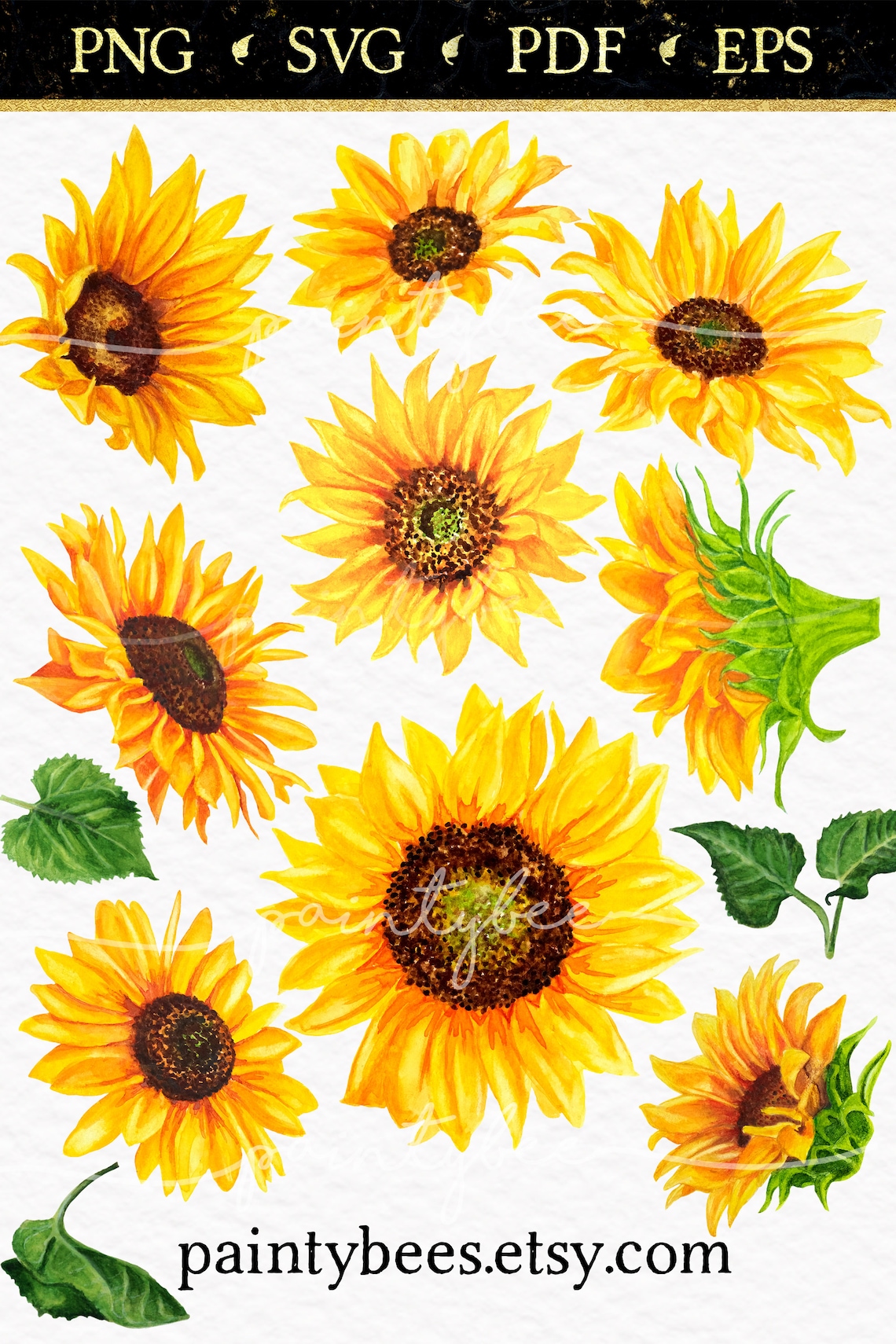 Fall Watercolor Sunflower SVG Bundle Flower Stem Clipart | Etsy