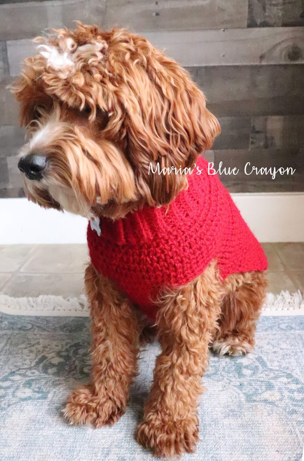 Crochet Basic Dog Sweater - Free Step by Step Tutorial - Maria's Blue