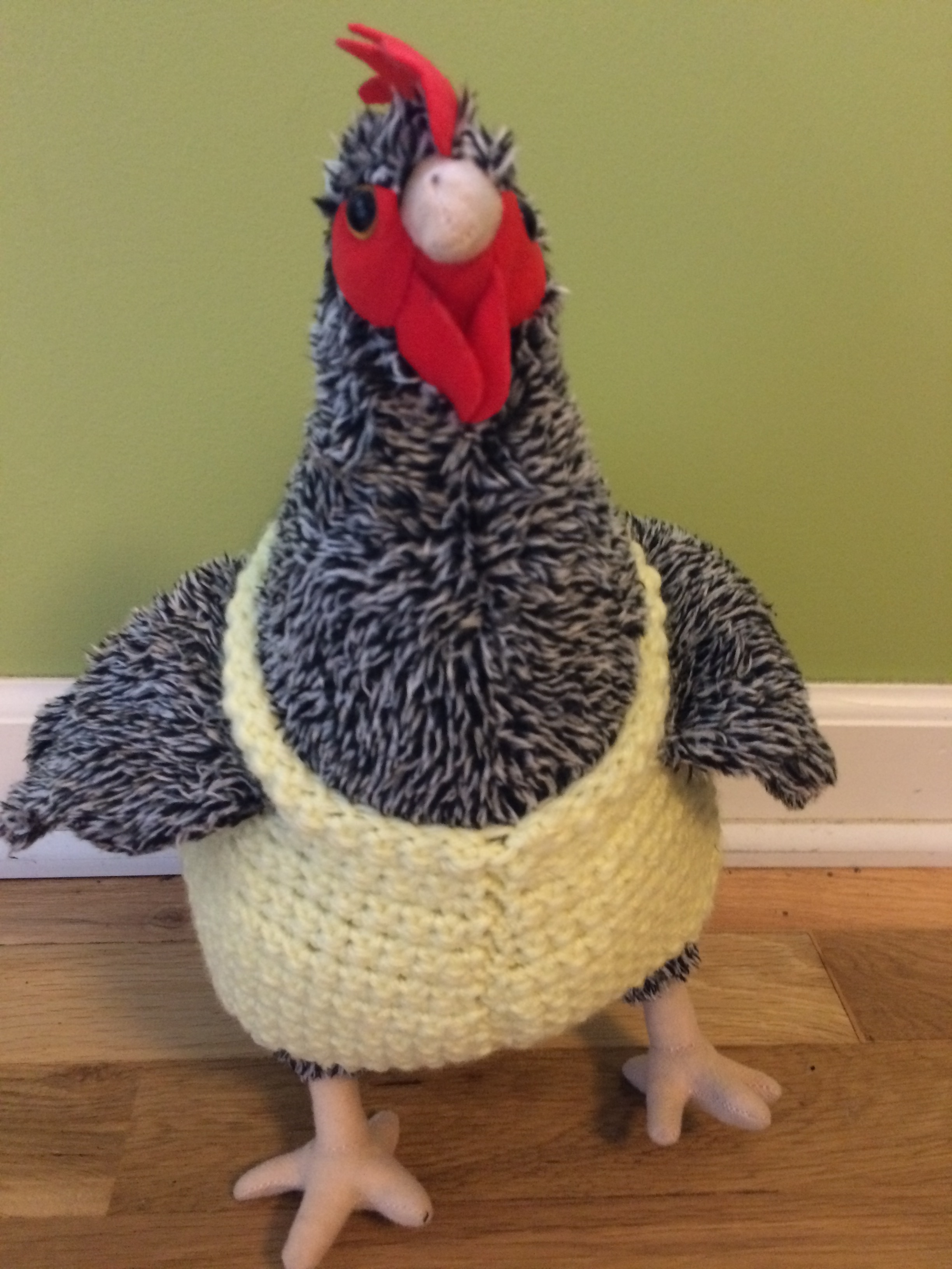 Plush Chicken Sweater: Free Crochet Pattern – Once Upon a Yarn